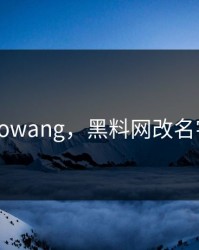 heiliaowang，黑料网改名字了吗