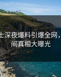 业内人士深夜爆料引爆全网，秘语空间真相大曝光