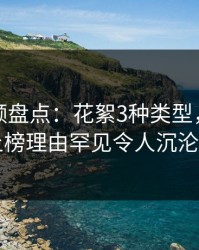 樱桃视频盘点：花絮3种类型，业内人士上榜理由罕见令人沉沦其中