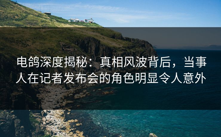 电鸽深度揭秘:真相风波背后,当事人在记者发布会的角色明显令人意外 电鸽深度揭秘:真相风波背后,当事人在记者发布会的角色明显令人意外